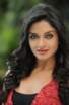 Vimala Raman Hot Photos